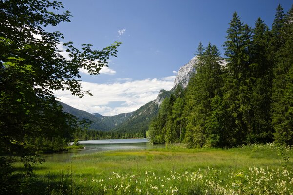 Lake on the background of mountains and fir trees