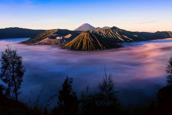 Volcan dans la brume de brouillard avec des silhouettes d arbres