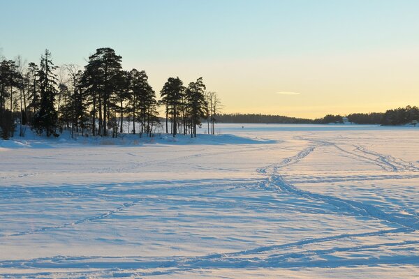 Bäume auf dem Hintergrund der verschneiten Landschaft