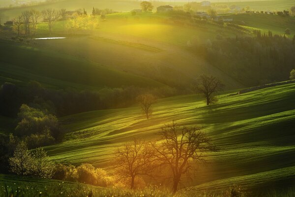 Morning in Italy view of a field with hills and trees