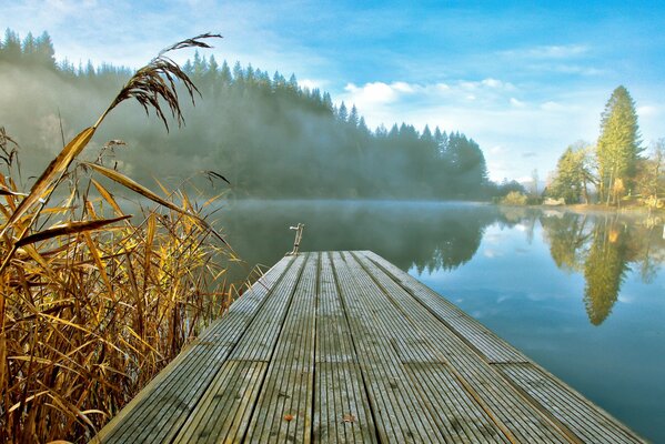 Matin brumeux sur le lac de la forêt