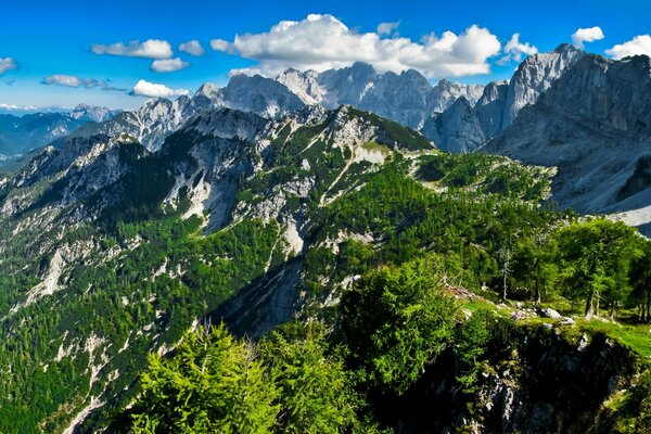 Montañas rocosas con árboles contra el cielo azul