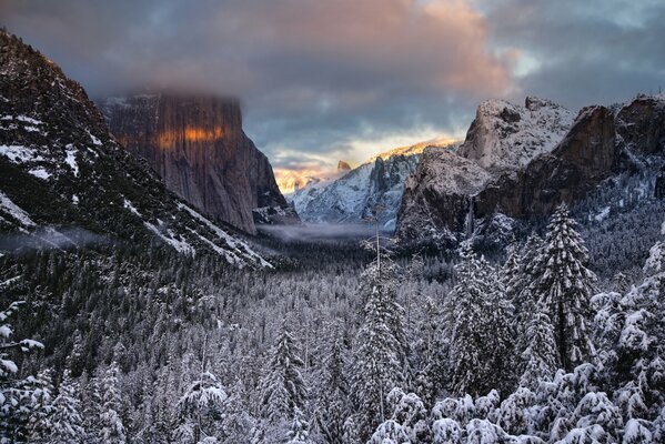 Valle de Montaña de invierno con bosque de parque nacional