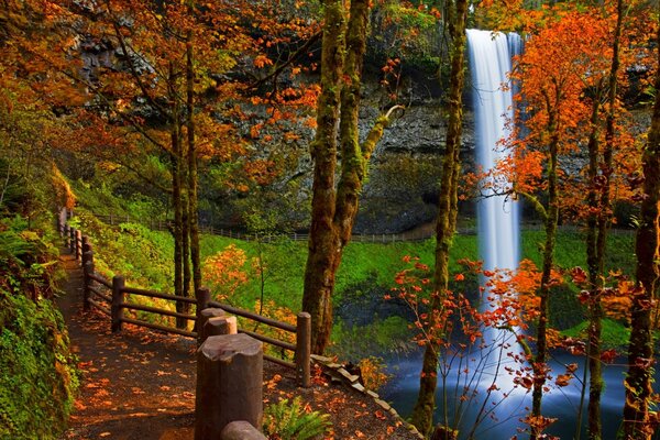 Cascade dans la forêt d automne rouge