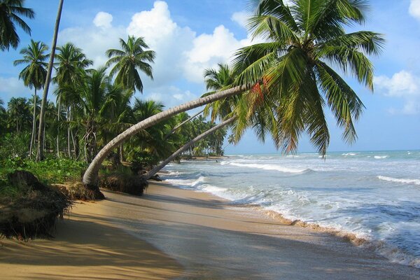 Un lugar Fabuloso para unas vacaciones inusuales