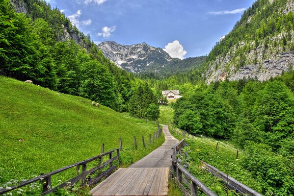 Alpine Schönheit mit Schluchten und Hängen. Holzbrücke