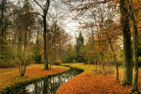 Parc d automne avec un étang au milieu