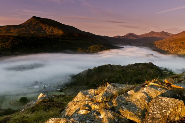 Dalina under the fog top view