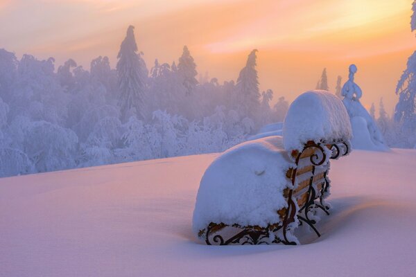 Banco cubierto de nieve en ventisqueros y en el fondo de un bosque cubierto de nieve