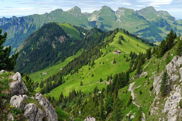 A house in the Swiss mountains in summer