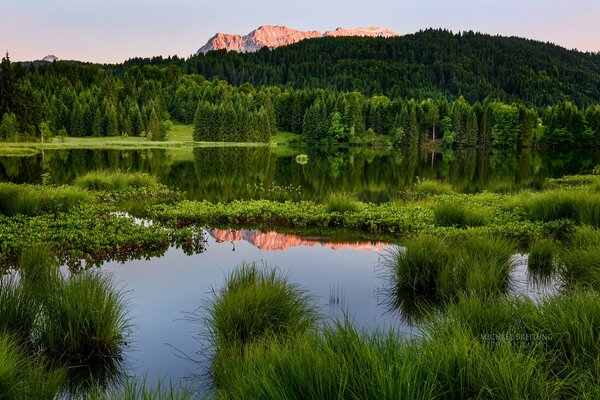 Bergsee im Sommer bei ruhigem, warmem Wetter