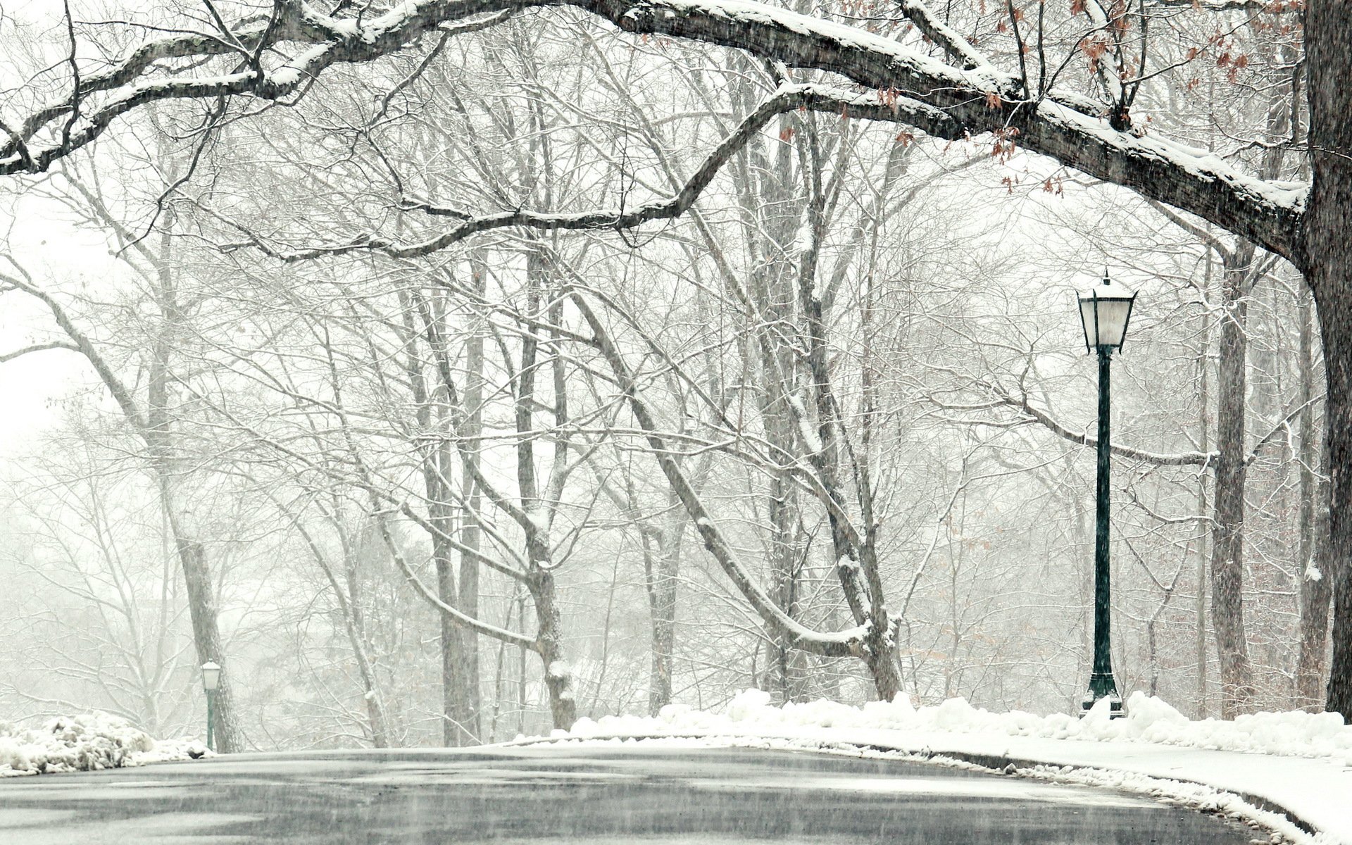 inverno neve strada alberi paesaggio