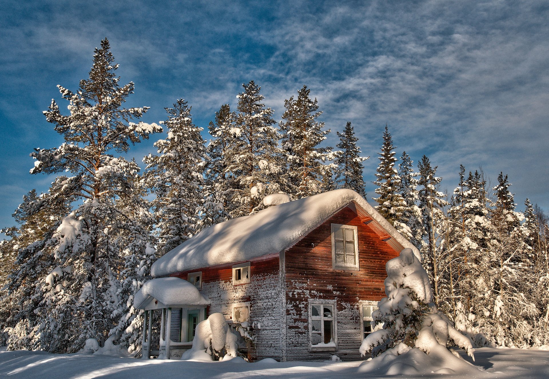 winter snow christmas tree tree house the old abandoned