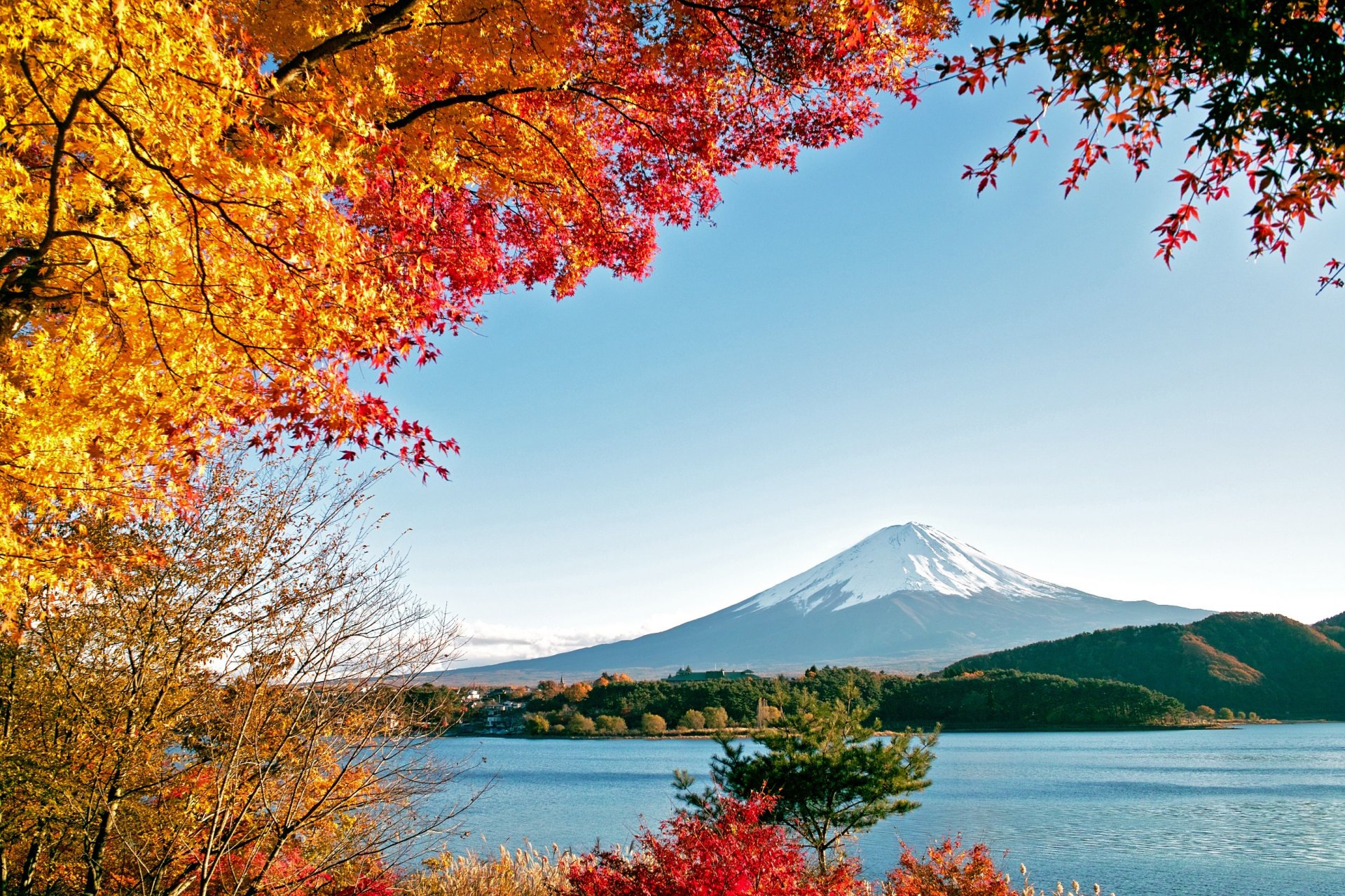 fuji autumn tree mountain nature water lake sea