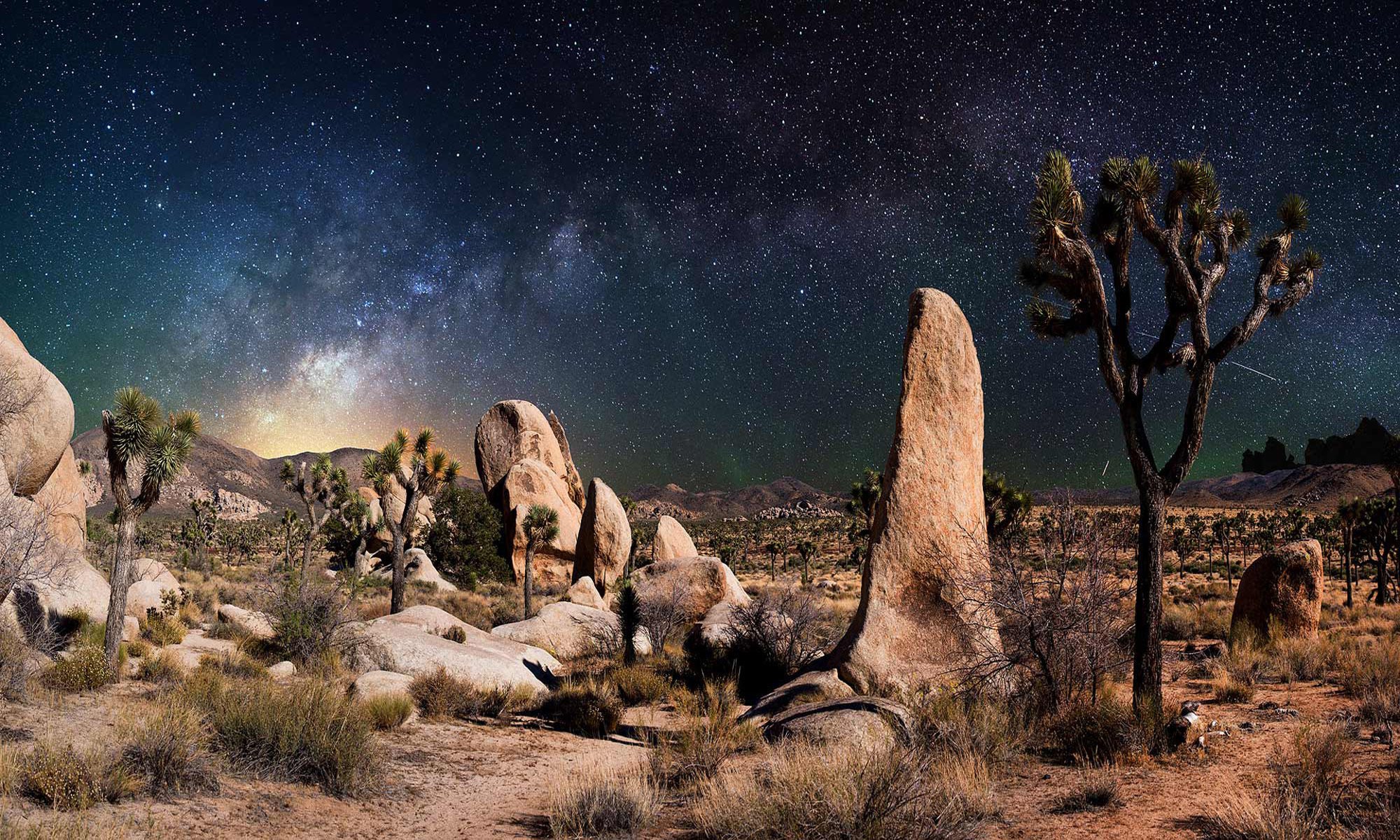 paesaggio deserto notte stelle cielo piante erba pietre