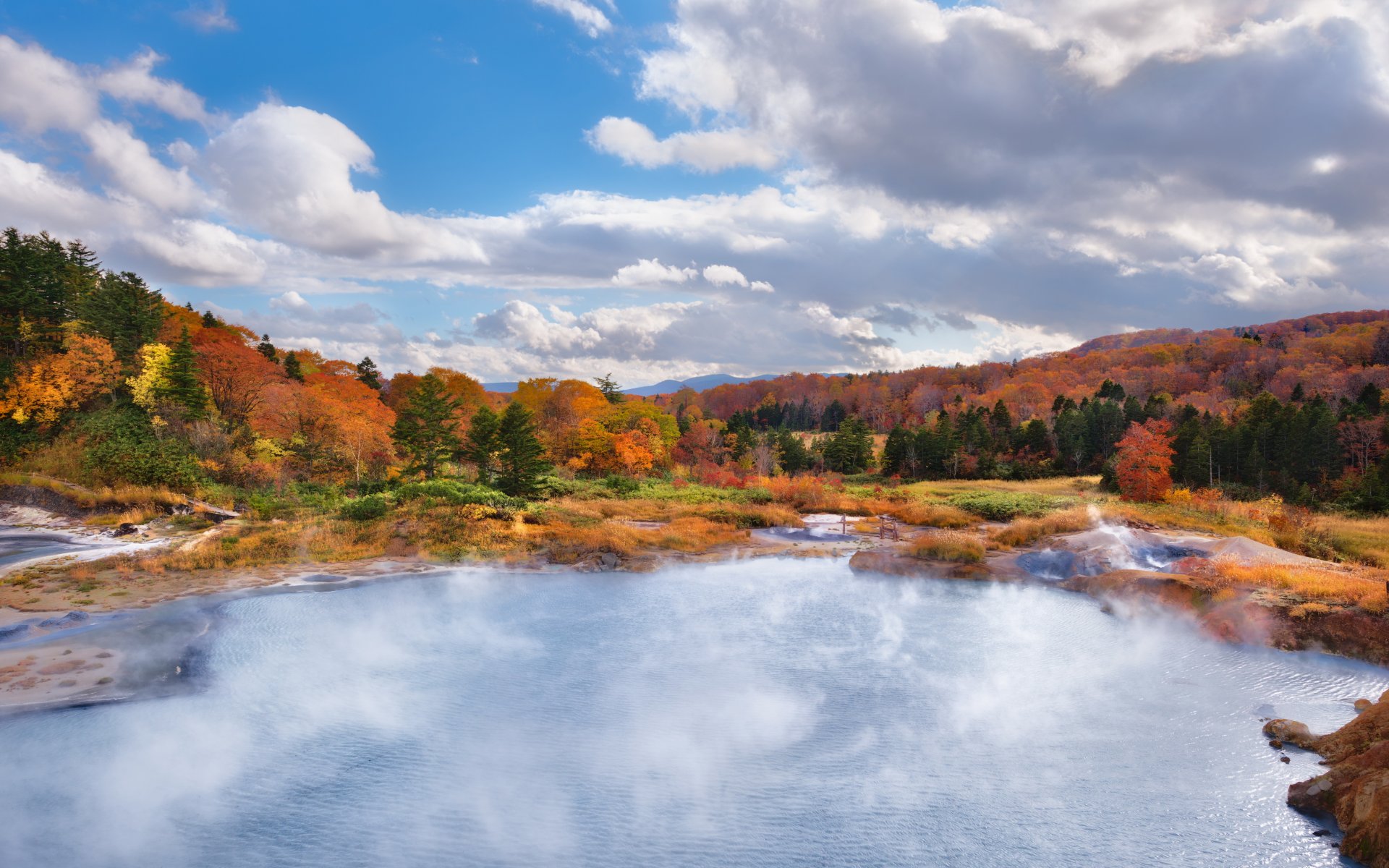 paisaje naturaleza bosque otoño