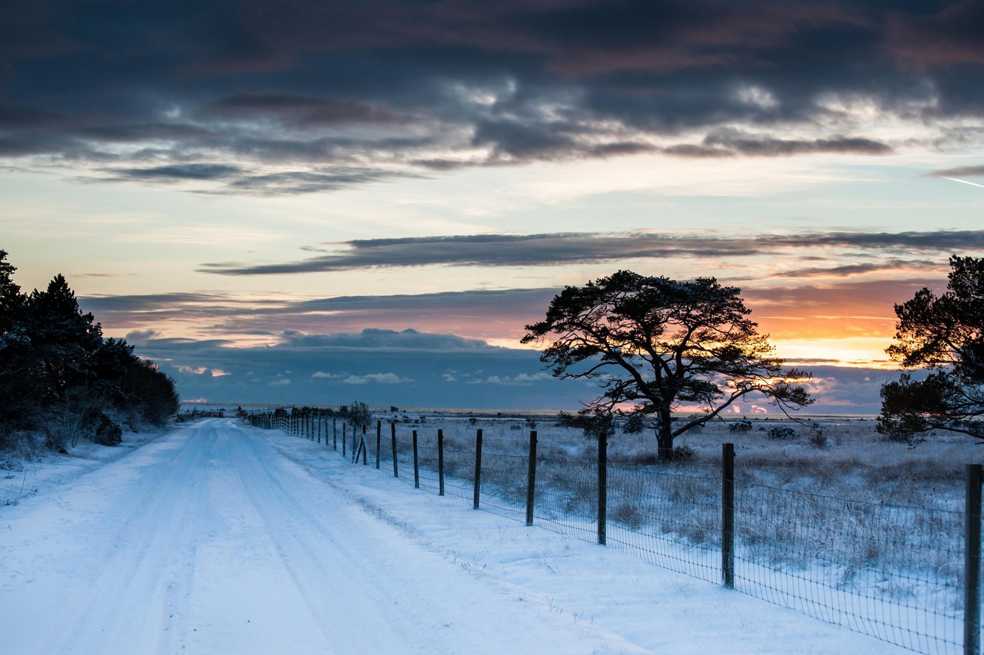 champ route clôture clôture arbres neige hiver coucher de soleil ciel nuages nature paysage