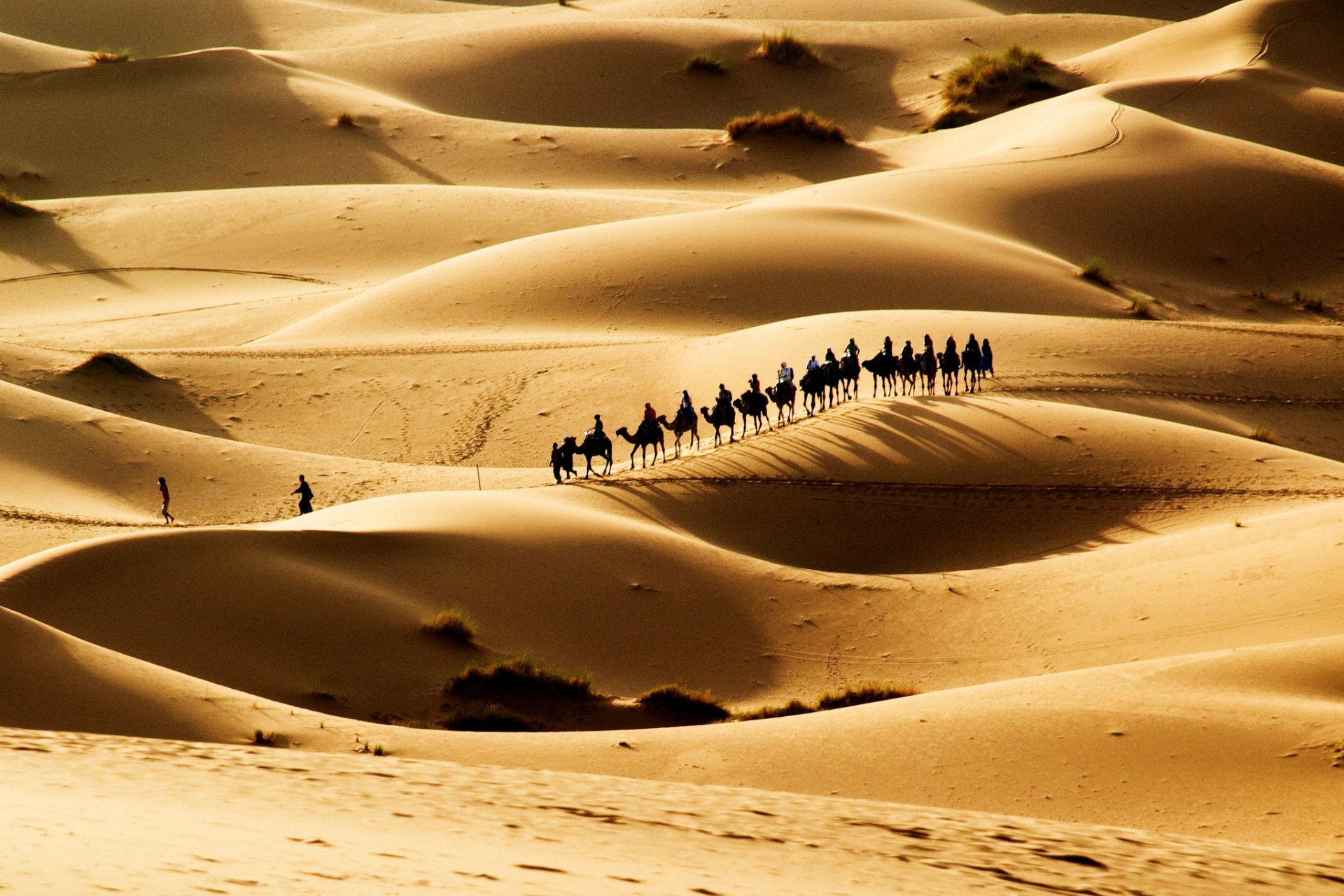 désert barkhans caravane