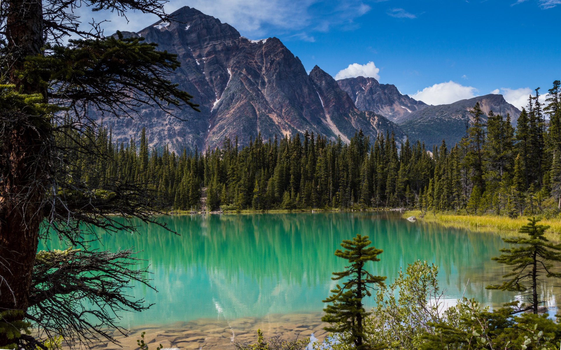 lago cavell parco nazionale di jasper alberta canada montagne rocciose lago cavell jasper foresta alberi