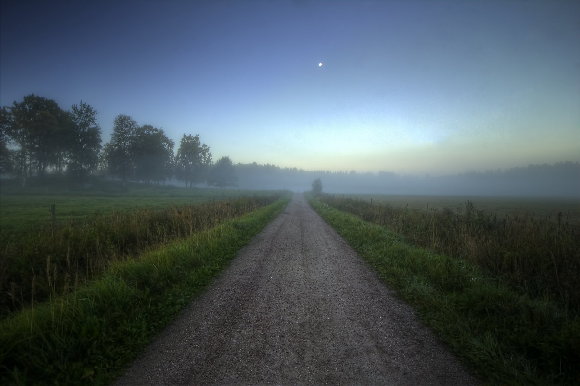 foresta campo strada estate nebbia mattina alba