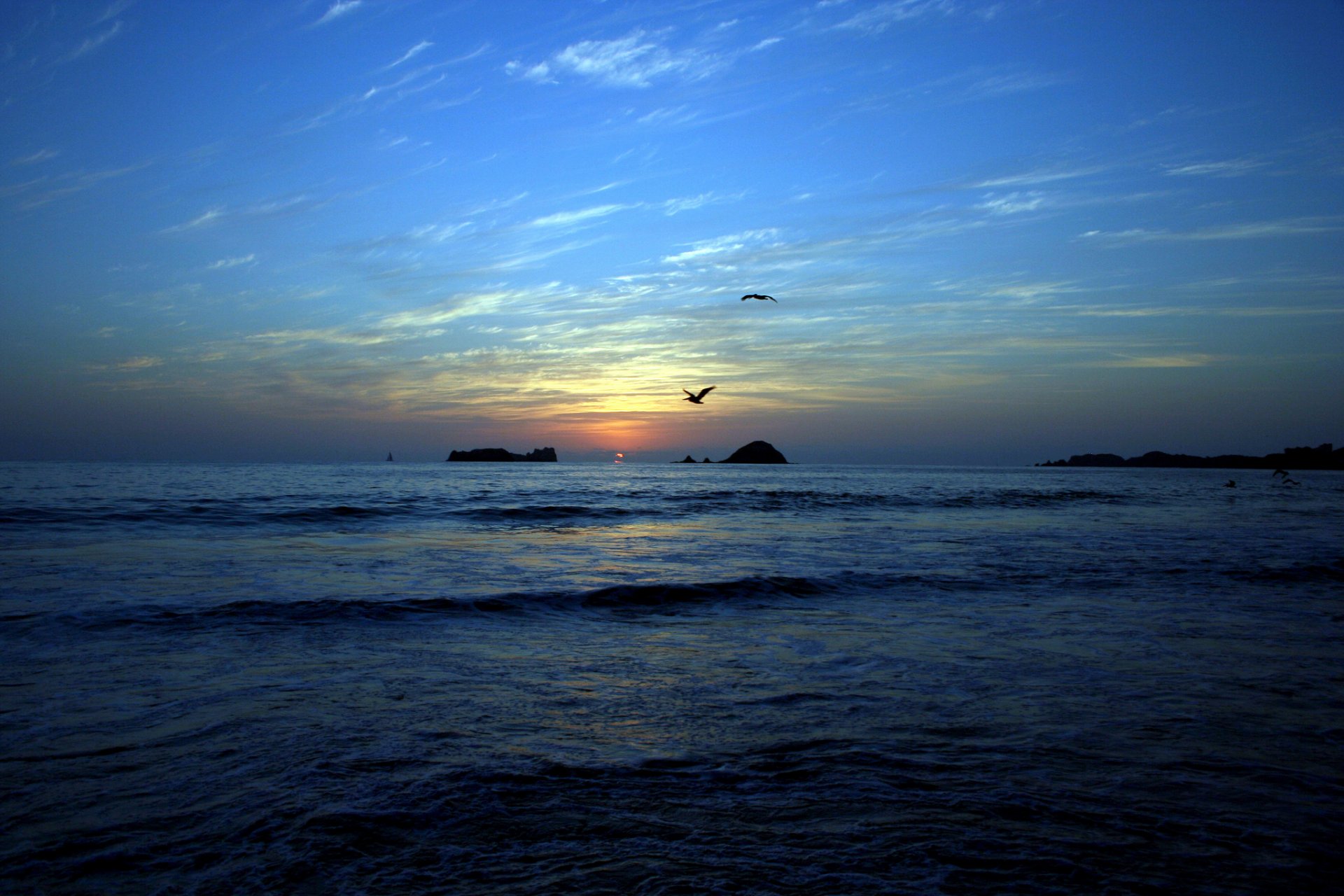 mare spiaggia isole uccelli tramonto