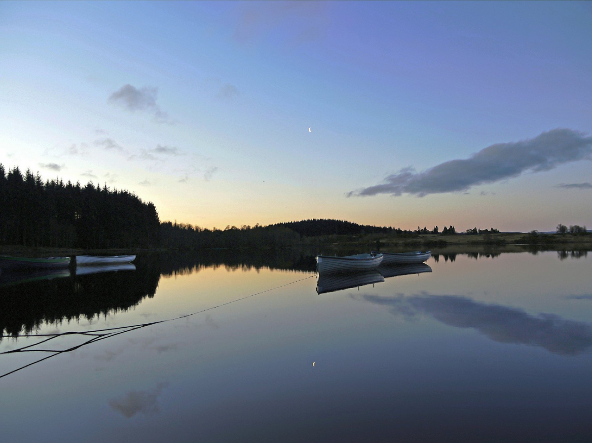 forêt lac bateaux matin aube