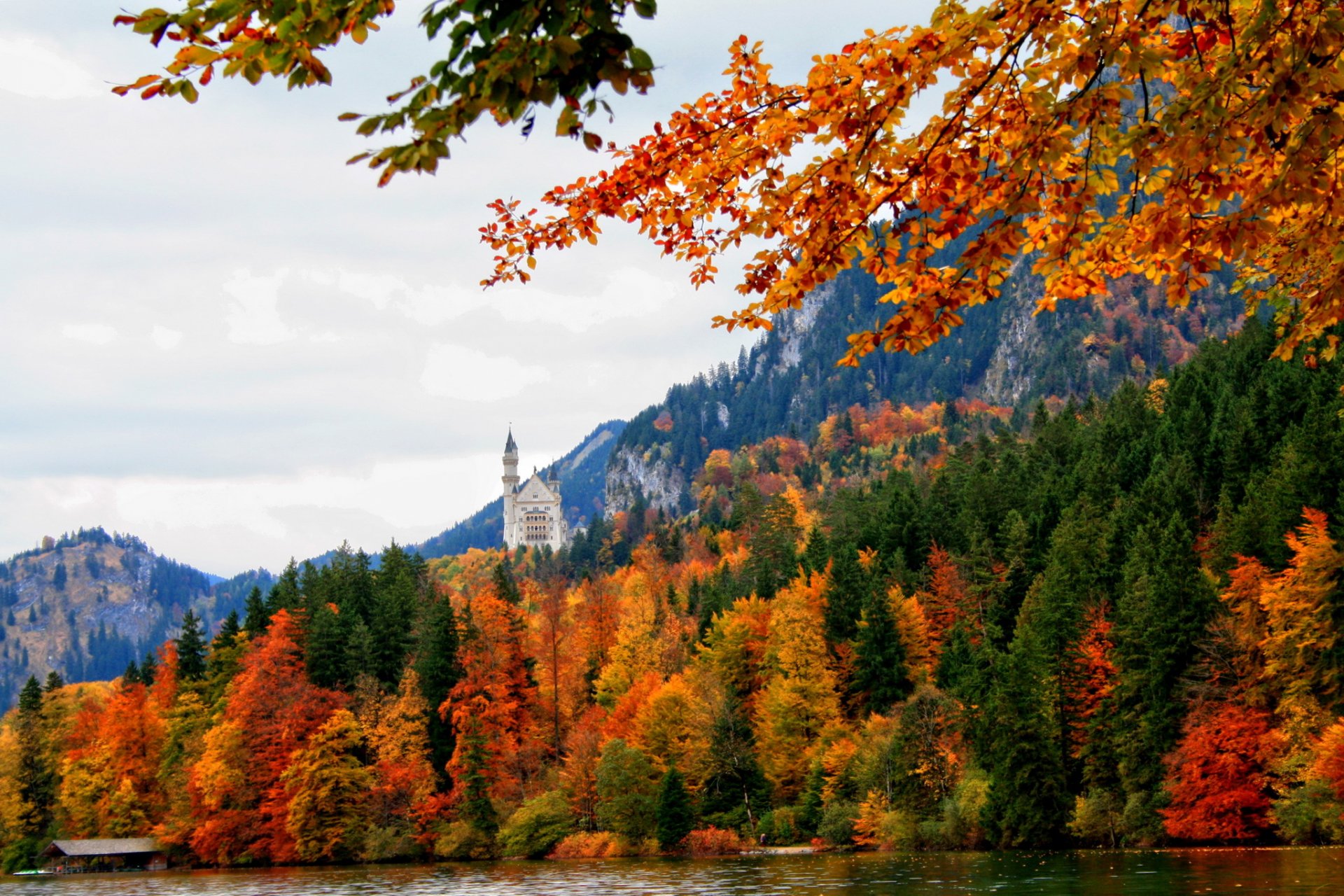 germania schwangau baviera natura autunno foresta castello fiume alberi