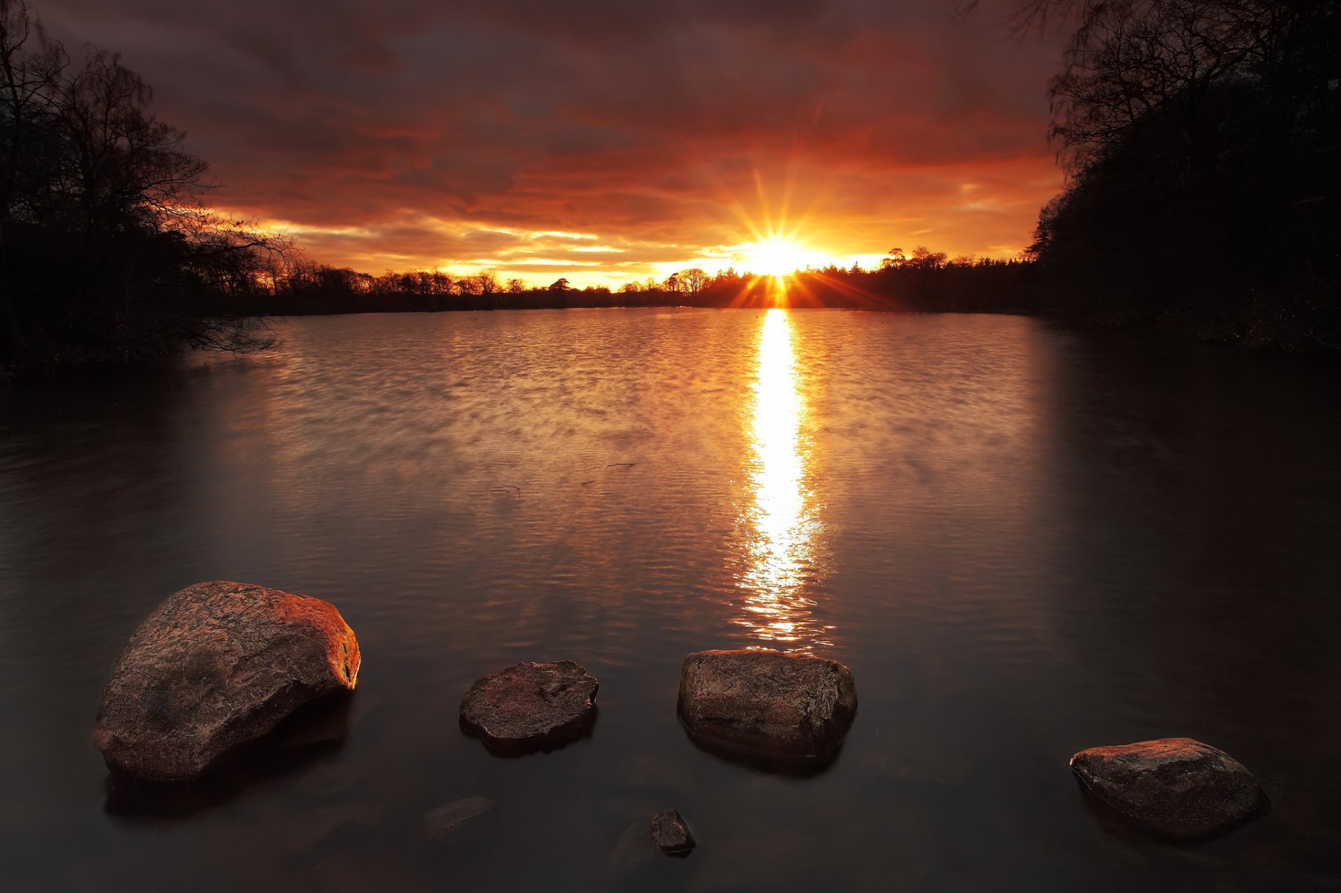 bosque lago piedras mañana amanecer