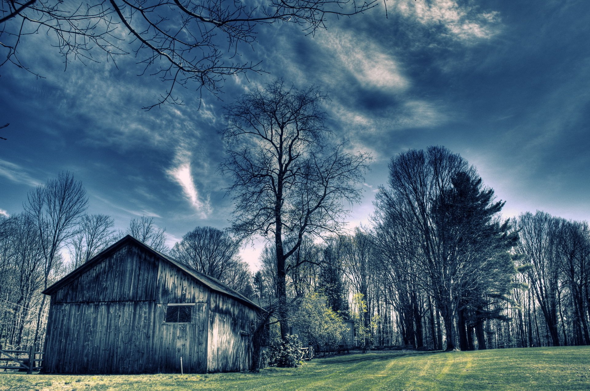 champ maison arbres couleur paysage