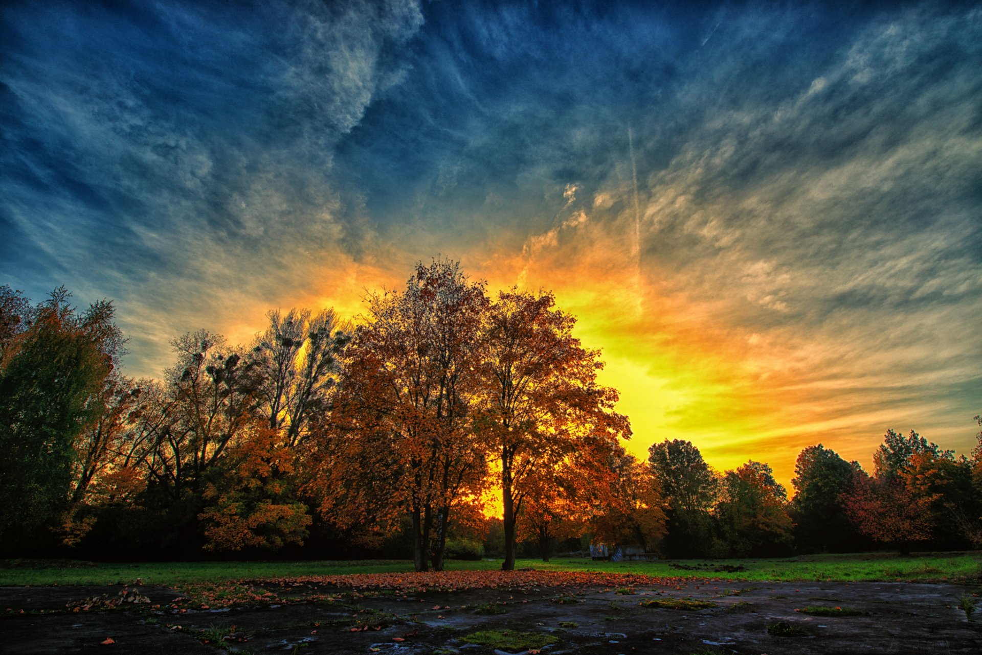 park autumn night sunset