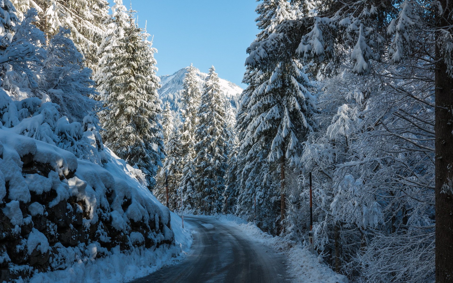 road mountain forest winter