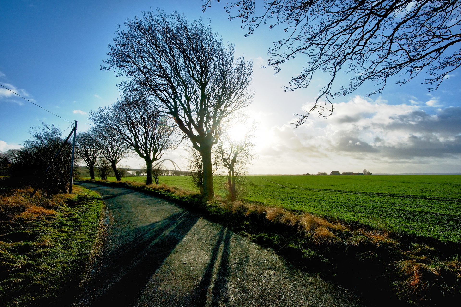 landscape nature trees tree greenery meadow grass field green branches path path shadow sun sky background wallpaper widescreen fullscreen widescreen widescreen