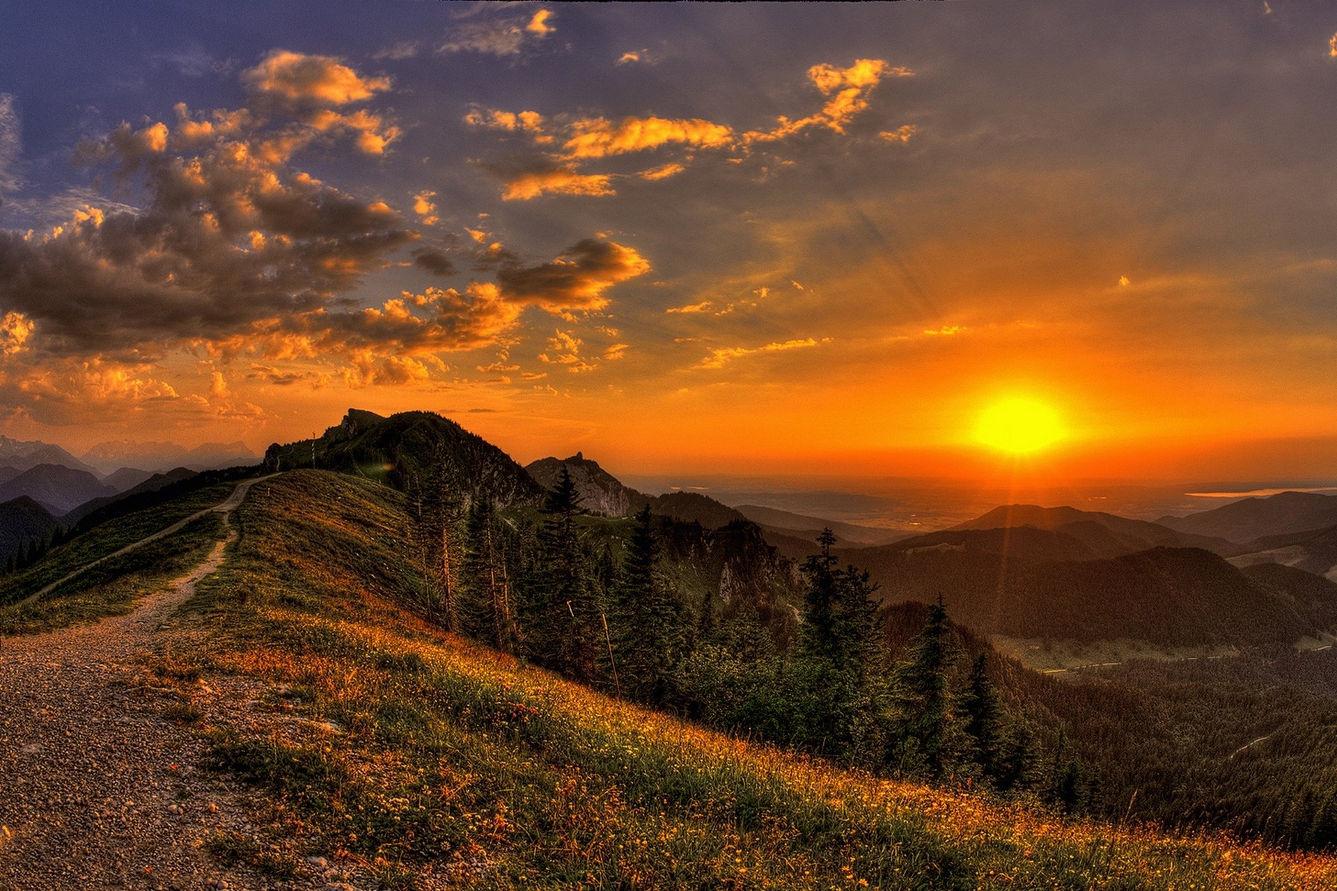 nature coucher de soleil soleil rayons vue sentier montagnes fleurs paysage herbe arbres ciel nuages vue forêt piste