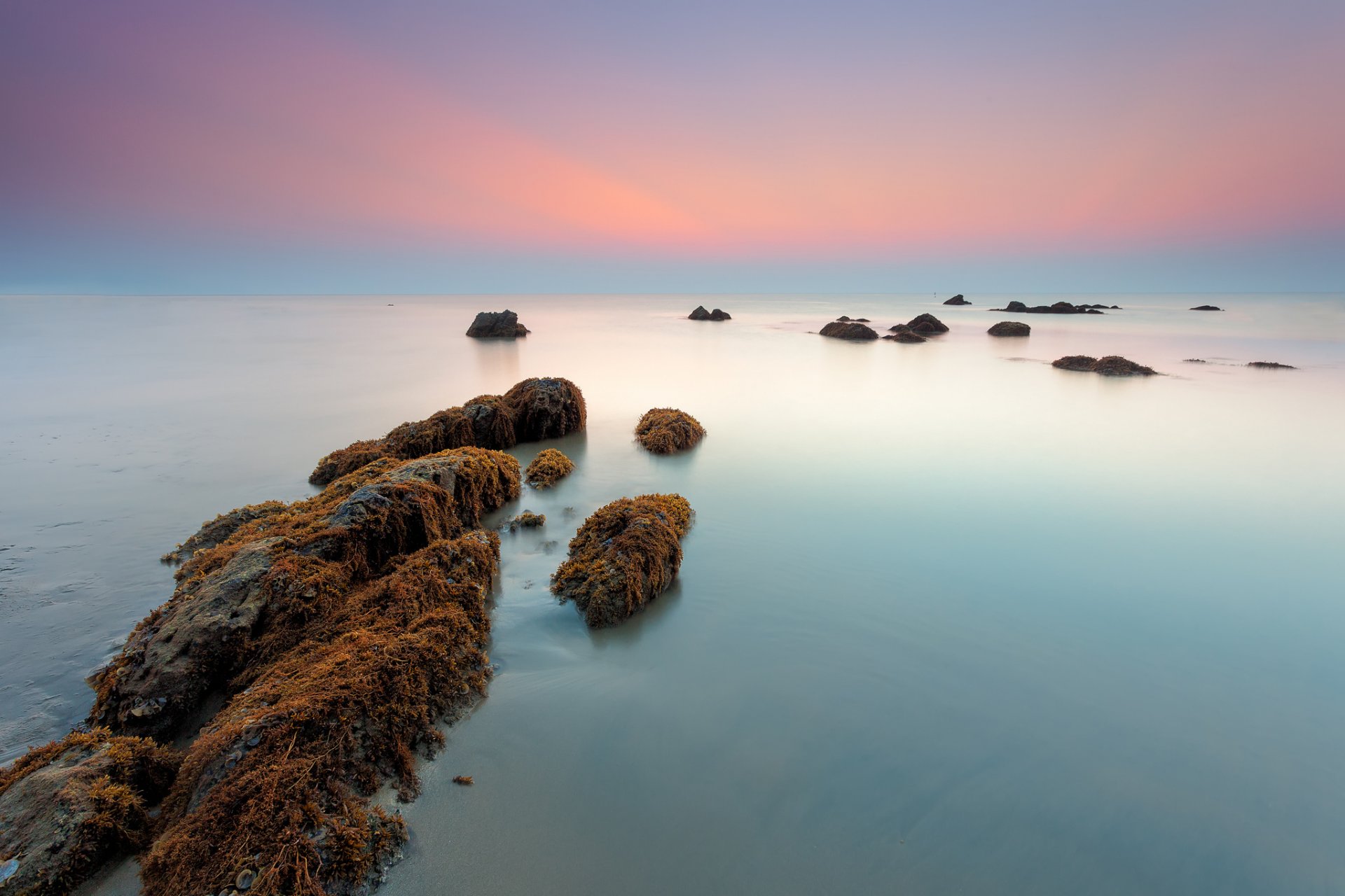 mar piedras algas mañana amanecer