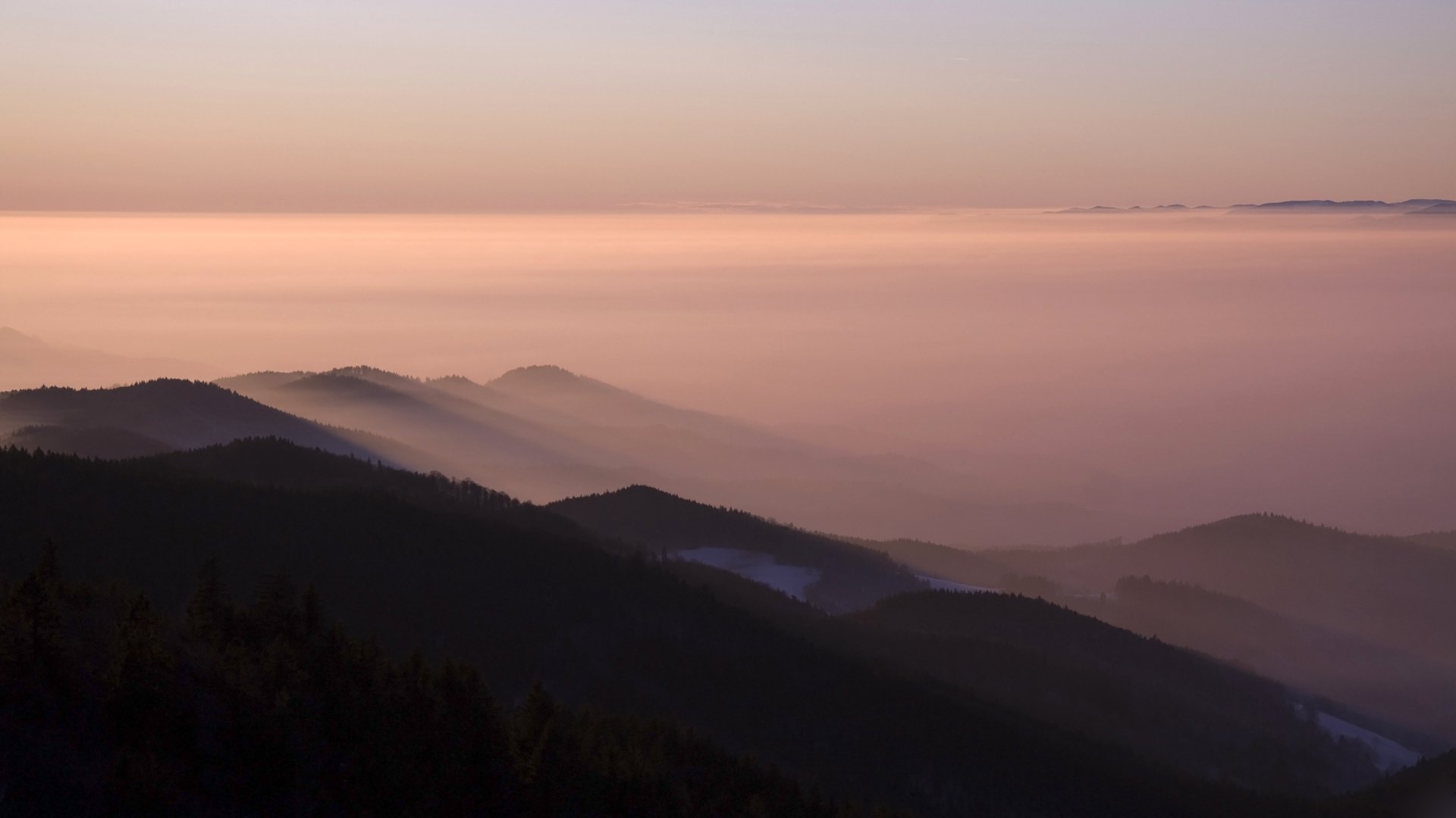 montagnes forêt brouillard ciel