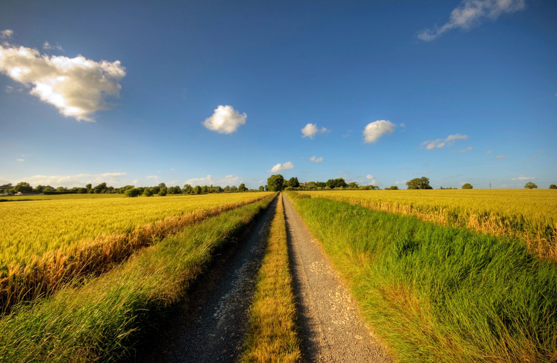 camino camino día soleado nubes cielo dal hierbas cereales verano