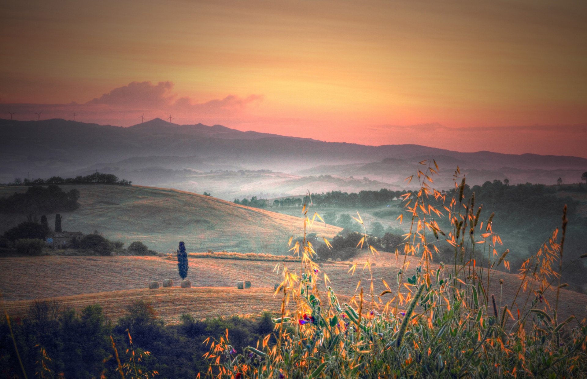 italie toscane collines arbres champs plantes herbe matin aube brouillard