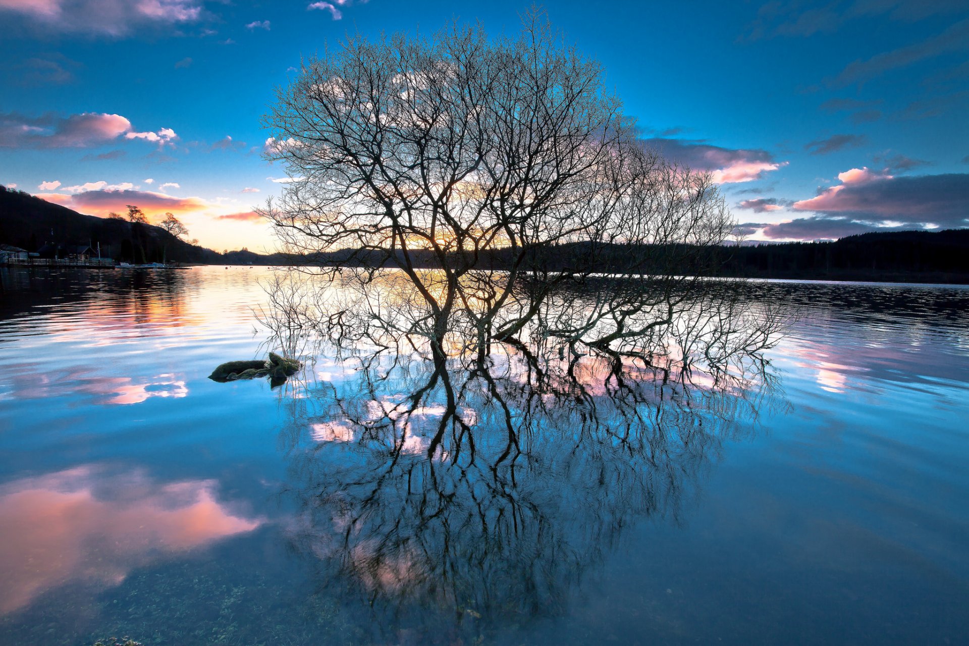 wald see bäume reflexion sonnenuntergang