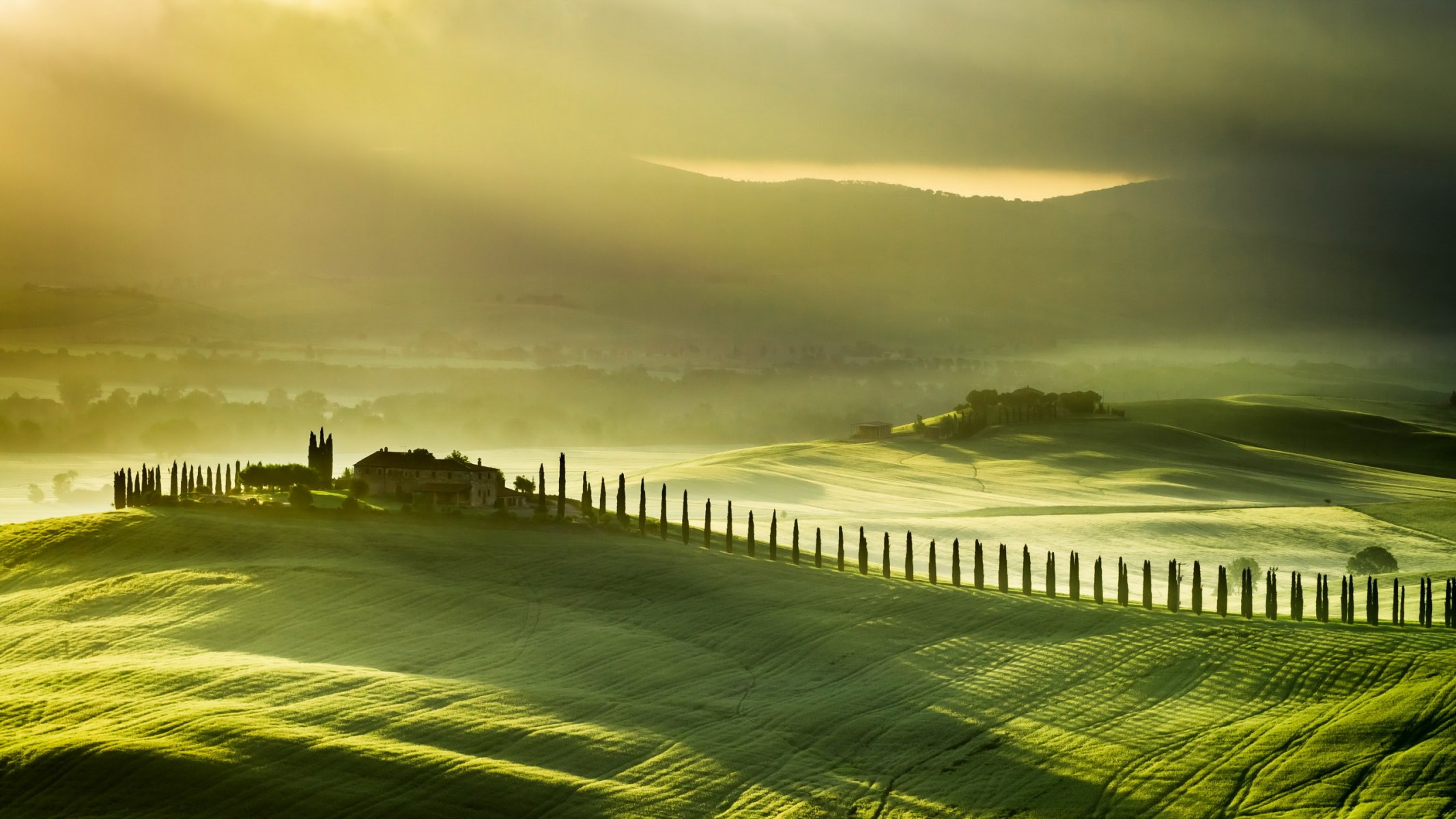 tuscany italy the field fog landscape