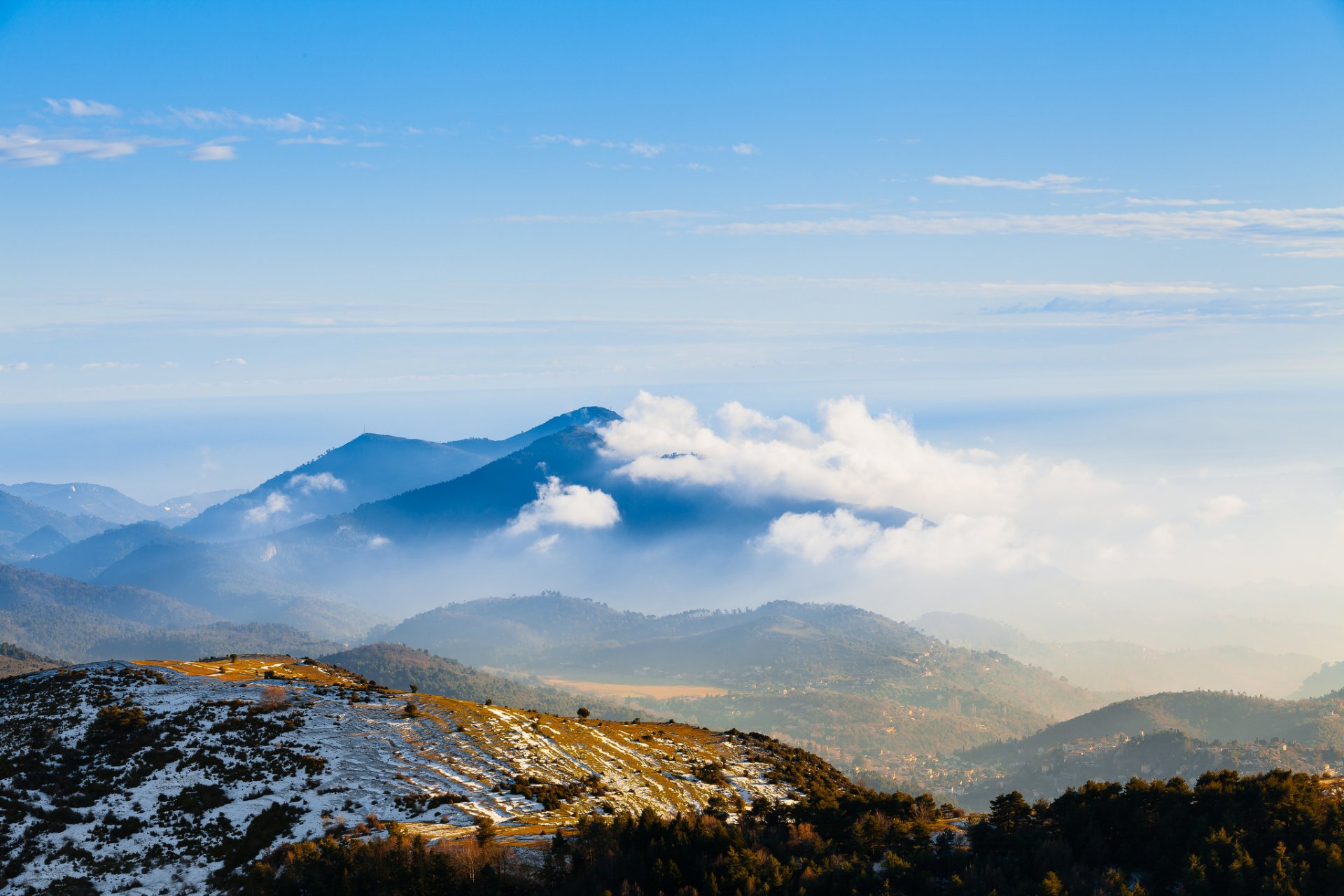 mountain tops forest snow winter morning