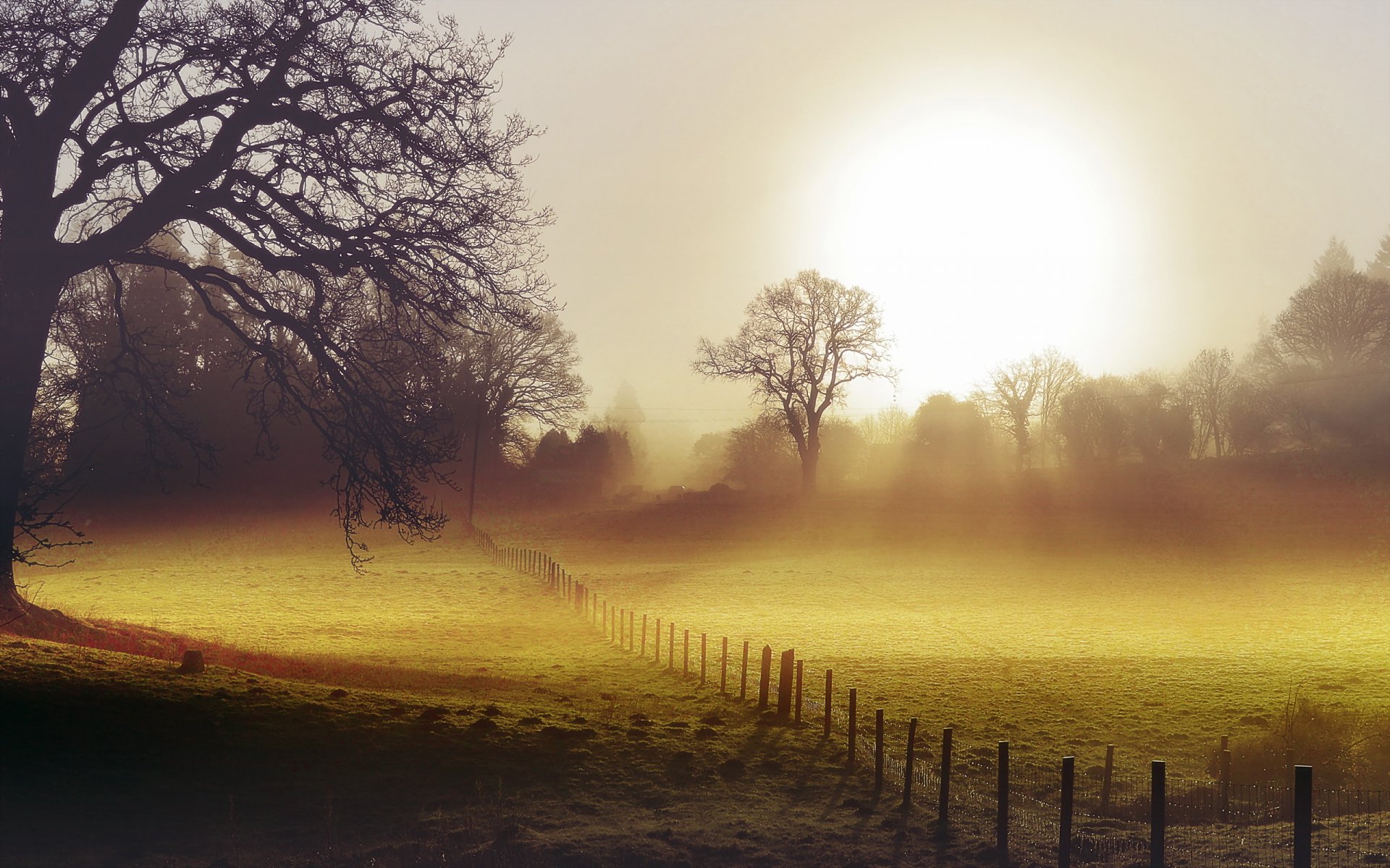 morgen feld zaun nebel landschaft