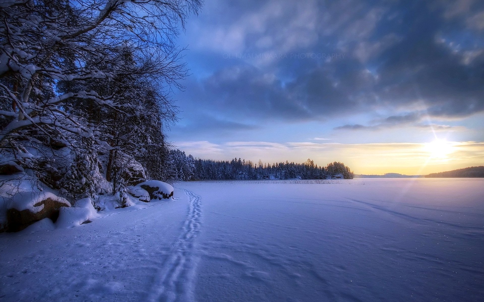 champ hiver neige paysage