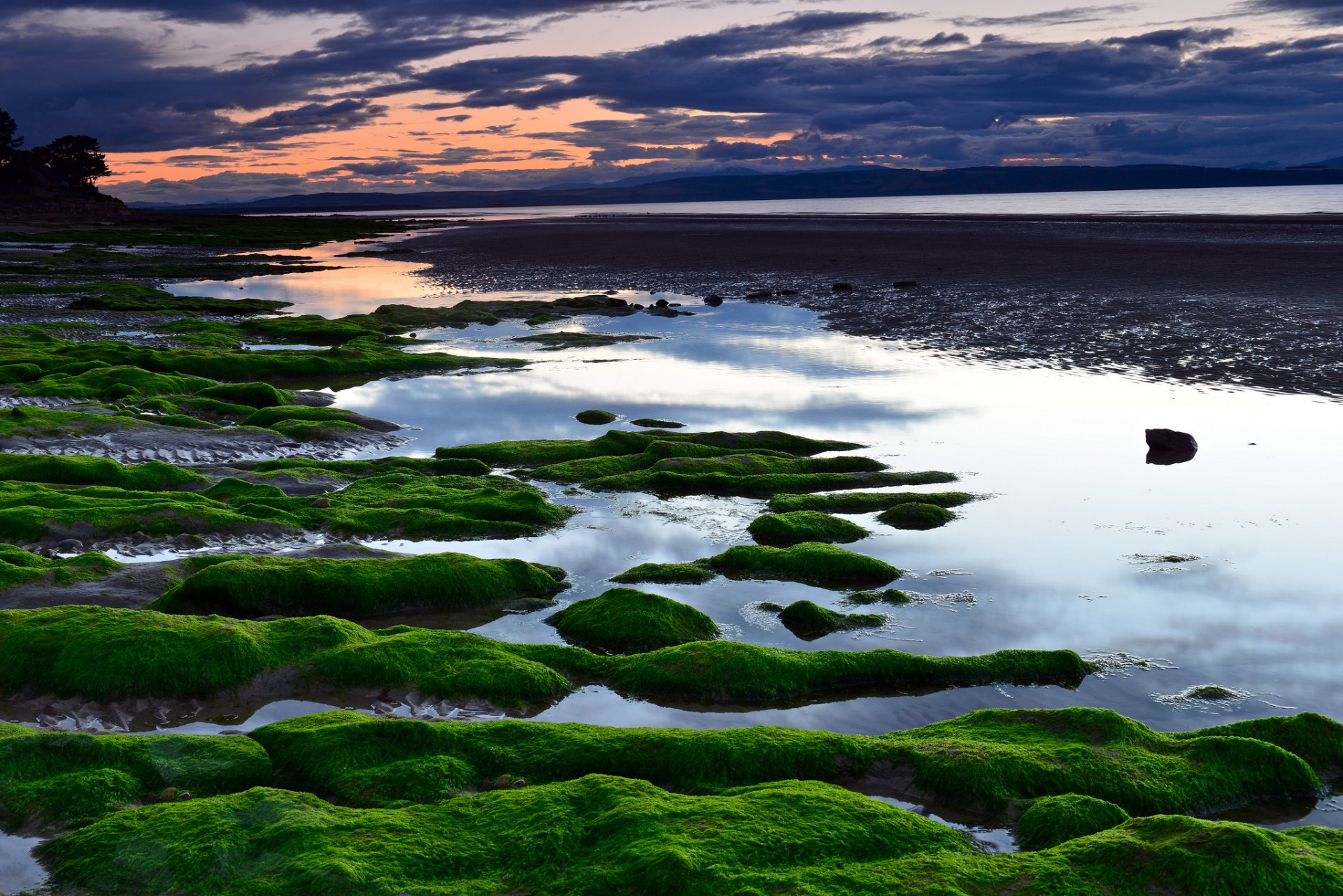 ea beach algae sunset