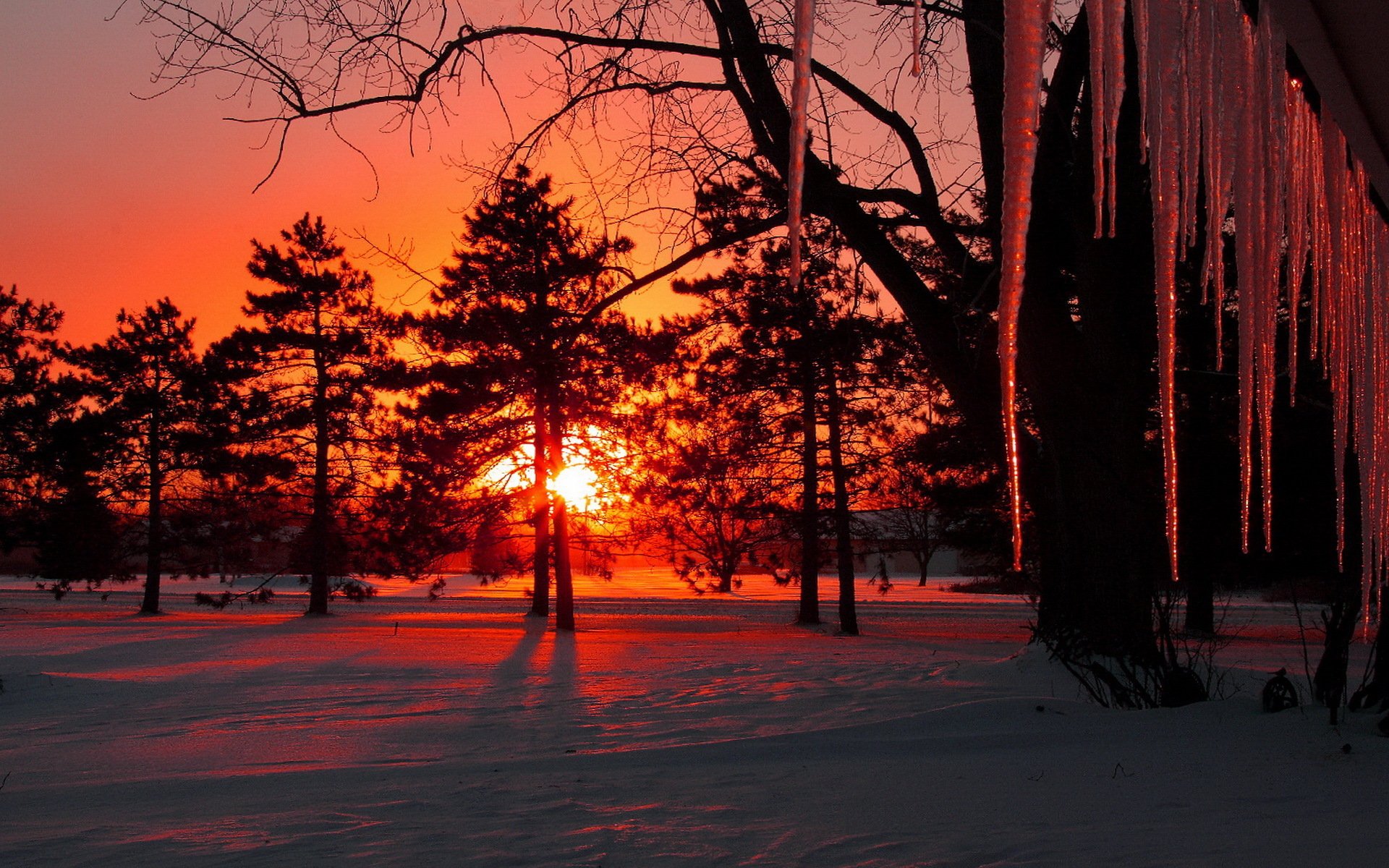 invierno nieve árboles carámbanos sol puesta de sol