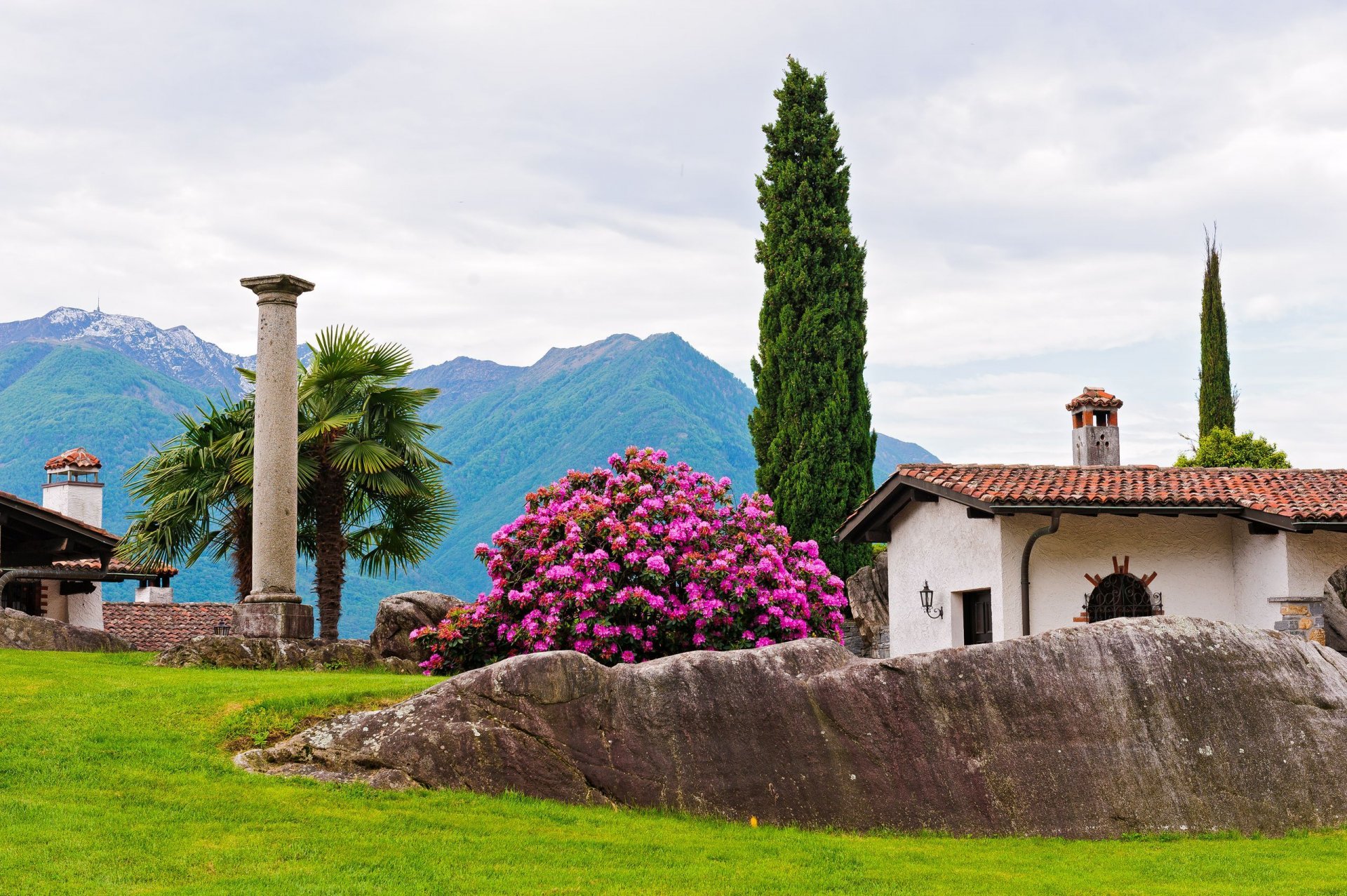 park house tree column palm cypress rhododendron bush mountain stone