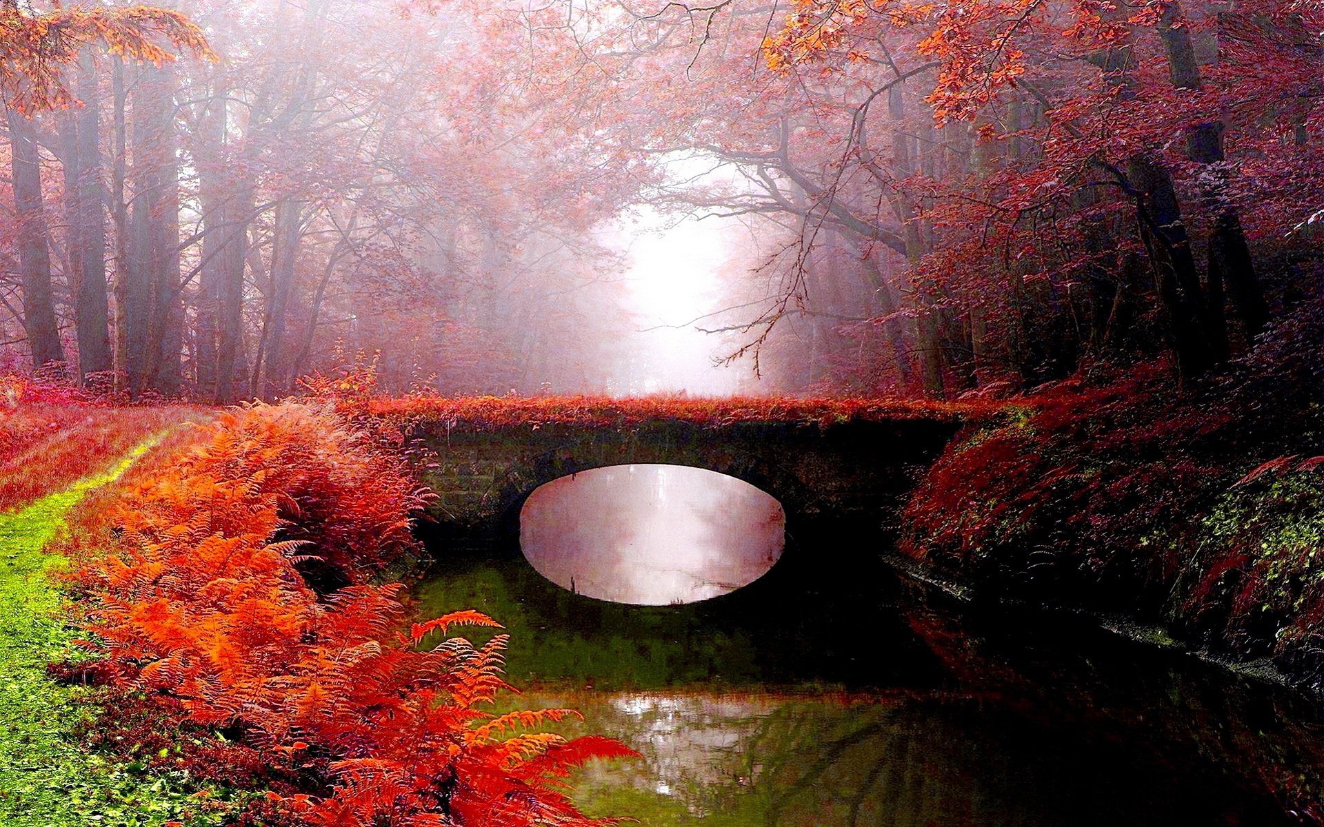 parco fiume ponte nebbia autunno