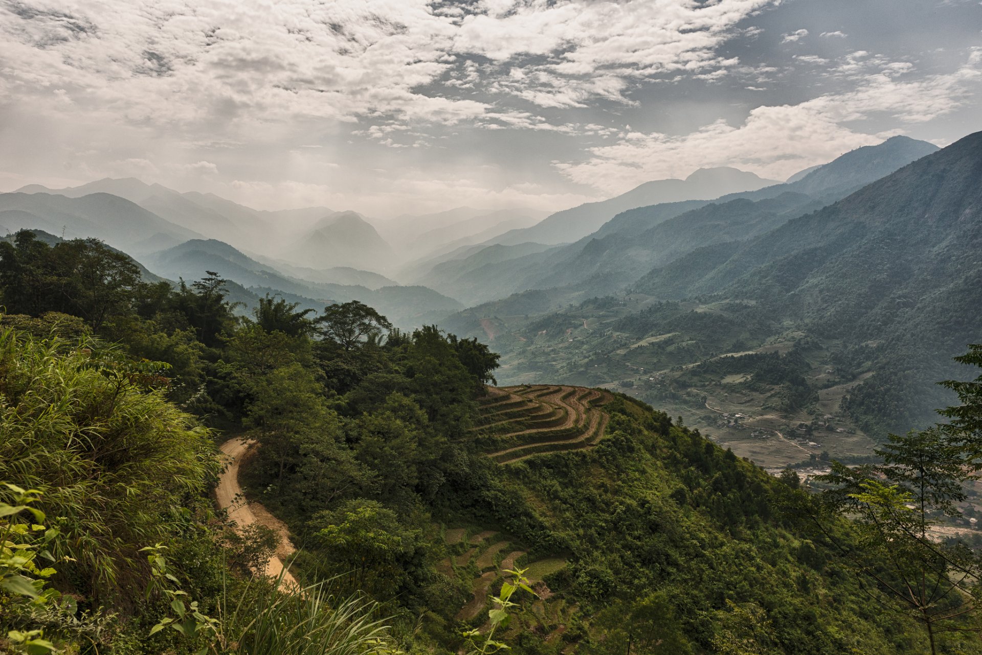 vietnam montañas bosque valle niebla