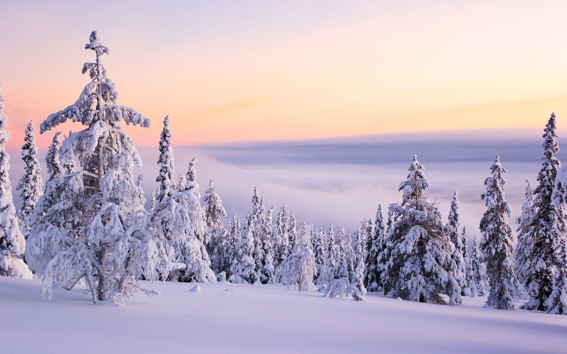 invierno nieve árboles pendiente cielo nubes