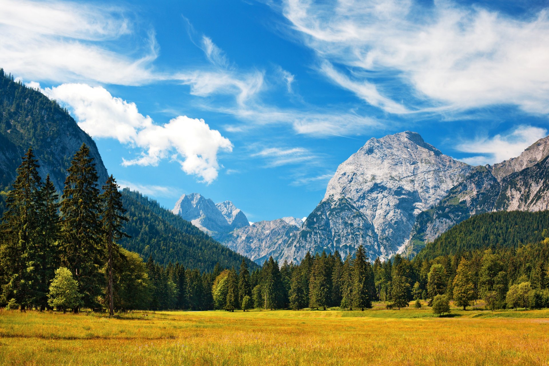 alpes alpen montagnes suisse ciel nuages nature herbe pré forêt paysage