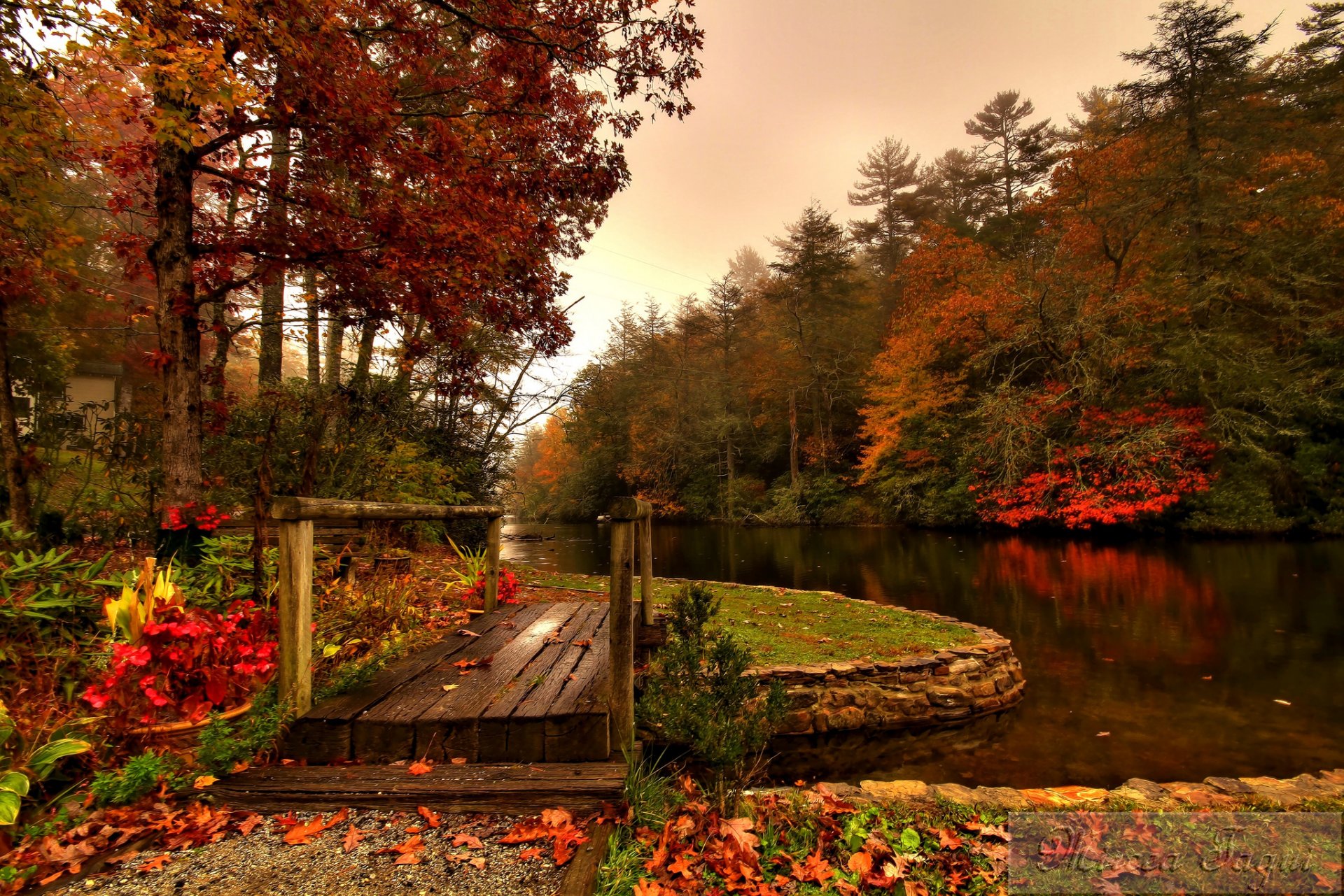 forest river bridge autumn